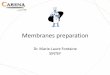 Membranes preparation - Demcamer - Membrane preparation.pdf · Critical thickness to obtain a dense metal layer which depends on surface roughness and pore size in support’s top