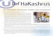 Da haashrus - OU Kosher Certification€¦ · trast, the Rama rules that the flavor must be predominant, and this ruling is followed by Ashkenazic Jewry. The OU poskim, as well as