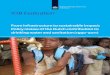 IOB Evaluation - OECD nr 366 From infrastructu… · comprised of Dr. Christine Sijbesma, specialist from the IRC International Water and Sanitation Centre in The Hague, and Dick