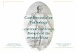 Cardiovascular Pathology - Semmelweis Egyetemsemmelweis.hu/...T-Cardiovascular-Pathology2-Myocardial-Infarction.… · Cardiovascular Pathology - coronary sclerosis, diseases of the