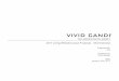 VIVID CANDI€¦ · Just like leasing a new car or phone, Vivid Candi will give your business a brand new custom website upon each lease renewal so your business always has the sharpest