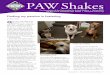 PAW Shakes€¦ · foster stories below. Rain: I met Jay when he came to an adoption show in August of 2018. He wanted to meet Bobby whom I was fostering. Bobby was so sweet but very