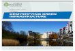 DEMYSTIFYING GREEN INFRASTRUCTURE€¦ · Demystifying Green Infrastructure | 2 1.0 INTRODUCTION Green infrastructure (GI) is a catch-all term to describe the network of natural and