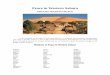 Peace in Western Sahara - Bridge to Peace Project · Peace in Western Sahara GROUPS SEEKING PEACE . In this category for the map of world peacemakers, we recognize diverse groups