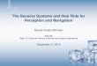 The Sensory Systems and their Role for Perception and ... /file/ ¢  Spatial Perception 6. Summary. Sound