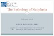 The Pathology of Neoplasia - Roswell Park Comprehensive ... · The Pathology of Neoplasia February 2018 . Outline and Objectives What is Pathology? What is a Pathology Department?