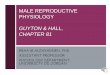 MALE REPRODUCTIVE PHYSIOLOGY GUYTON & HALL, CHAPTER 81€¦ · GUYTON & HALL, CHAPTER 81 EBAA M ALZAYADNEH, PHD ASSISTANT PROFESSOR PHYSIOLOGY DEPARTMENT, UNIVERSITY OD JORDAN . MALE