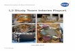 L3ST Interim Report - NASA · science return. In this interim report, we provide a preliminary assessment focusing on the major instrument subsystems that the US is best-positioned