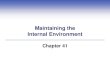 Maintaining the Internal Environment · Chapter 41 . Impacts, Issues Truth in a Test Tube Kidneys rid the body of excess water, excess or harmful solutes, and drugs – physicians