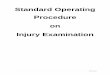 Standard Operating Procedure on Injury Examinationmeleson.org/wp-content/uploads/2017/09/SOP-Injury-examination.pdf · Prepare report in computer using Microsoft word. Hand written