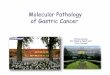 Molecular Pathology of Gastric Canceracmcb.es/files/425-1495-DOCUMENT/Carneiro-3-17Feb11.pdf · Molecular Pathology of Gastric Cancer Fátima Carneiro IPATIMUP & FMUP/HSJ Porto, Portugal