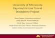 University of Minnesota Day-neutral Low Tunnel Strawberry ... of M… · The low tunnel system is proving to produce larger individual fruit size when compared to our June-bearing