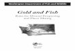 Gold and Fish - Washington€¦ · Washington Department of Fish and Wildlife Gold and Fish Pamphlet BLM manages the surface and mineral (fee) estate on some federal lands, and the