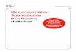 Documentation Submissions - BSI Group€¦ · known as Documentation Submissions: Best Practice Guidelines. Welcome to your personal guide to efficient Technical Documentation. We