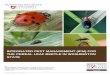 INTEGRATED PEST MANAGEMENT (IPM) FOR THE CEREAL LEAF ...pubs.cahnrs.wsu.edu/.../wp-content/uploads/sites/2/publications/em… · Integrated Pest Management (IPM) for the Cereal Leaf