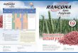 RANCONA - UAPuap.ca/products/documents/RanconaCanadaBrochure_2010...RANCONA Apex Seed Treatment is a unique new triazole fungicide with contact and systemic activity, offering excellent