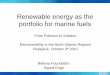 Renewable energy as the portefolio for marine fuelsnewenergy.is/wp-content/uploads/2018/12/8._sigurd_enge...2018/12/08  · Renewable energy as the portfolio for marine fuels From