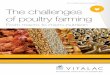 Brochure The challenges of poultry farming · Face the challenges of poultry farming with Vitalac > Hygiene of water, raw materials and feeds > Stimulating the digestive process >