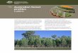 October Australian forest profiles · cabinets, and fencing poles and posts. Some species of callitris, such as the Port Jackson pine (C. rhomboidea), have durable, insect-resistant