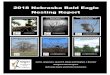 2018 Nebraska Bald Eagle Nesting Report 2018 Nebraska Bald … · 2019-08-22 · 2018 Nebraska Bald Eagle Nesting Report 6 animal of interest) that is commonly produced in mark-recapture