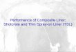 Performance of Composite Liner: Shotcrete and Thin Spray-on … · 2016-09-13 · Shotcrete • sprayed concrete • cement, aggregates, water with or without fibre reinforcement