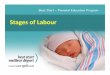 Stages of Labour Final English - Best Start · Stages of Labour. First Stage of Labour Phase of labour Cervical dilation Length of contractions Time between contractions Early or