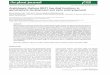 The Plant Journal 68 Arabidopsis thaliana GEX1 has dual ...mccormicklab.berkeley.edu/sites/default/files/mccormicklab_berkele… · gametophyte (embryo sac) develops within the ovule