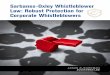 Sarbanes-Oxley Whistleblower Protection: Robust Protection ... · SARBANES-OXLEY WHISTLEBLOWER LAW: ROBUST PROTECTION FOR CORPORATE WHISTLEBLOWERS | 1 INTRODUCTION When Congress enacted