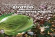 Managing Stink Bugs in Cotton...Bt cotton Active BWEP (does not include BWEP sprays) Boll weevil era Insecticide applications (mean) Figure 3. Mean number of insecticide applications