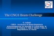 The CNGS Beam Challenge. Arduini_CNGS_Seminar.pdf · 1234512345 E≠0 QH=6.25. 11/05/2005 G. Arduini – CERN/AB Losses at extraction in the PS Electrostatic Septum Magnetic septum