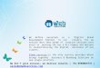 E2webservices- Top Digital Marketing Agency in India