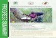 Making REDD work for communities and forest conservation ...€¦ · A feasibility study and proposal to support a long-term training programme on REDD and participatory forest 