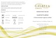 GalaFLEX Scaffold - Galatea Surgical · GalaFLEX scaffold is a bioresorbable surgical mesh manufactured from poly-4-hydroxybutyrate (P4HB). P4HB is produced from a naturally occurring