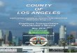 This program manual was created by - Rideshare LA …...- 2 - This program manual was created by: Los Angeles County Department of Human Resources Workplace and Community Programs
