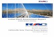 Initial Plant Assessment Report · Technical-Initial Plant Assessment Report: RAC’s technical advisors have completed an ... The solar field layout can have an aperture area in