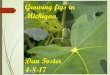 Growing figs in Michigan - WordPress.com · 4/8/2017  · Growing Figs in Michigan Favorite Varieties Over the past 5 years, I’ve grown and evaluated over 130 varieties with the