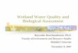 Wetland Water Quality and Biological Assessment Management/17-Wetla… · indicators *biological effects often occur at the concentrations that are lower than the ... -microalgae