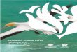 Temperate East Marine Parks Network Management Plan 2018 0 · Temperate East Marine Parks Network Management Plan 2018 8 1.3 A USTRALIAN M ARINE P ARKS VISION AND OBJECTIVES Management