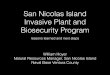San Nicolas Island Invasive Plant and Biosecurity Program · San Nicolas Island Invasive Plant and Biosecurity Program lessons learned and next steps William Hoyer ... San Miguel