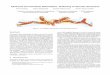 Advanced Curved Planar Reformation: Flattening of Vascular Advanced Curved Planar Reformation: Flattening