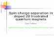 Spin-charge separation in - Max Planck Societycorpes05/Presentations/Poilblanc-WS.pdf · 0.5 setg r a y0 0.5 setg r a y1 Spin-charge separation in doped 2D frustrated quantum magnets