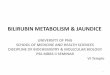 BILIRUBIN METABOLISM & JAUNDICEvictorjtemple.com/Bilirubin Metabolism Jaundice PPP 9.pdf · bilirubin metabolism & jaundice university of png school of medicine and health sciences