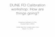 DUNE FD Calibration workshop: How are things going?strong argument for redundancy • Exchange rate of argon through the puriﬁcation system can impact estimates timescales for measurements,