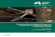 Understanding the Spatial Ecology and Habitat Use …...Understanding the Spatial Ecology and Habitat Use of Leadbeater’s Possum in Regrowth Forests5 Abstract This report covers