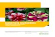 BURSTON NURSERIESburstonnursery.co.uk/.../01/Burston-Nurseries-Catalogue-Summer-2019.pdf · Thank you for another excellent year with us here at Burston Nurseries. We look forward