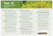 Herbicide-resistant weed management practiceswesterngrains.com/wp-content/uploads/2018/03/WGRF_ResistanceT… · herbicide applications Scout your fields before in-crop herbicide