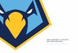 POINT UNIVERSITY ATHLETICS AND MARCHING BAND · 2017-10-24 · MARCHING SKYHAWKS MARK (cont’d) The Point University Marching Skyhawks Mark in full color is for applications where