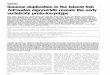 articles Genome duplication in the teleost ﬁsh Tetraodon …compbio.mit.edu/publications/09_Jaillon_Nature_04.pdf · Genome duplication in the teleost ﬁsh Tetraodon nigroviridis