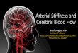 Arterial Stiffness and Cerebral Blood Flow€¦ · 1. Rabkin. JAD 2012 2. Pase. Hyperten. 2016 3. Cui. JAD 2018 4. Henskens. Hyperten 2008 5. Poels. Stroke, 2012 6. Maillard, Stroke