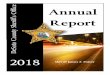 Annual DeSoto County Sheriff’s Office Report · I am pleased to present to you the 2018 DeSoto County Sheriff’s Office Annual Report. As I enter my third year as your Sheriff,